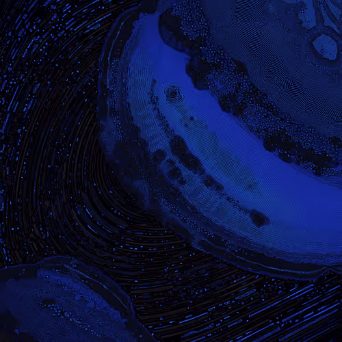 2439046679443273982118864381573244666657869231