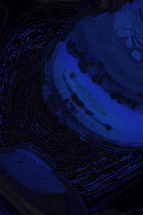 Item #2439046679443273982118864381573244666657869231 Media