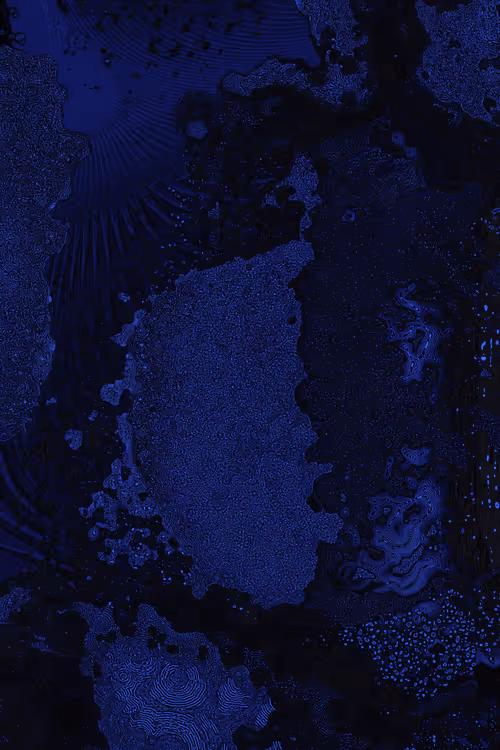 Item #2439046679443273982118864381573244666657869236 Media