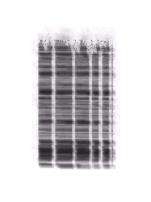 Item #2439046679443273982118864381573244666658869310 Media