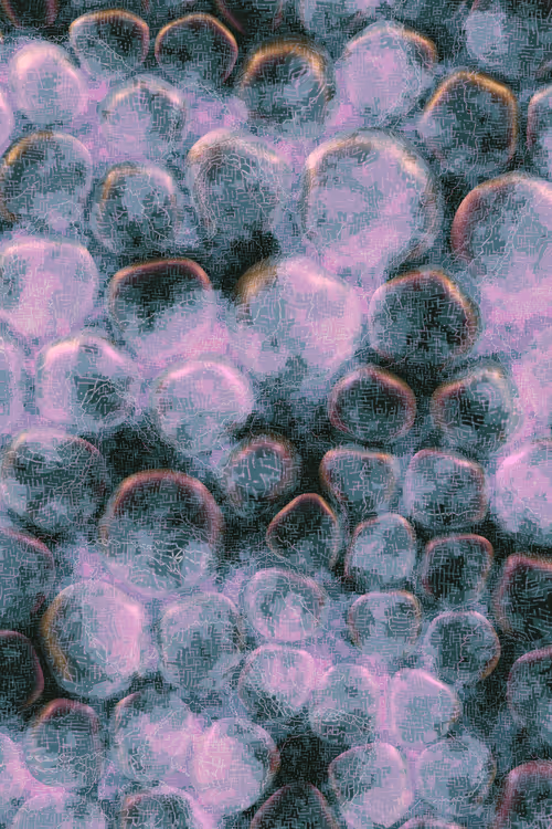 Item #2439046679443273982118864381573244666653869223 Media