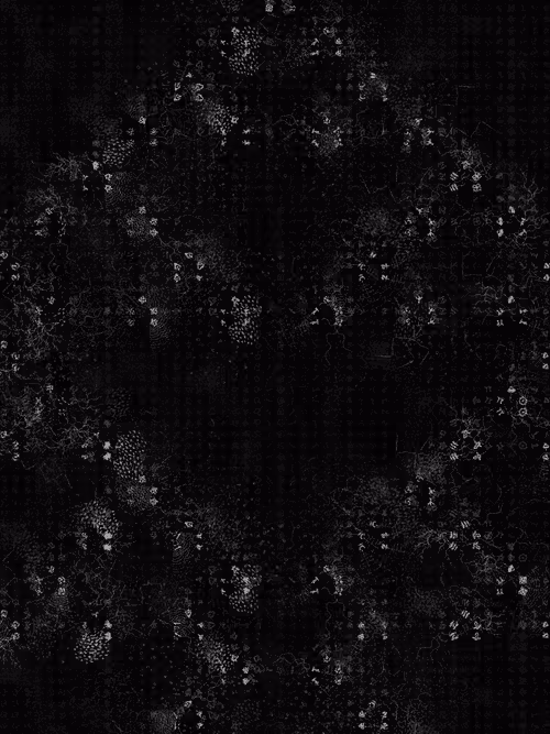 Item #2439046679443273982118864381573244666658869203 Media