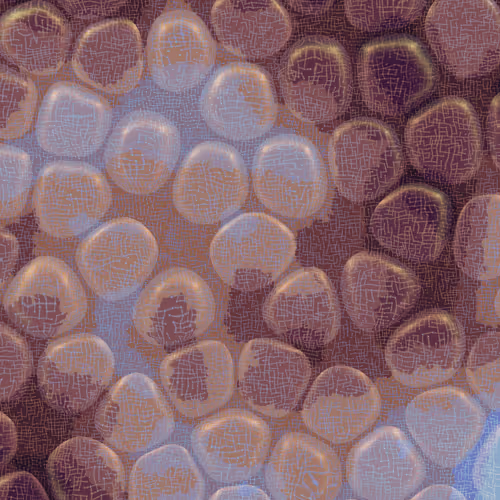Vitreous By Charlotte Dann