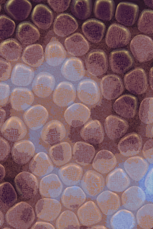 Item #2439046679443273982118864381573244666653869286 Media