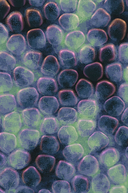 Item #2439046679443273982118864381573244666653869272 Media