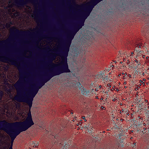 2439046679443273982118864381573244666657869284