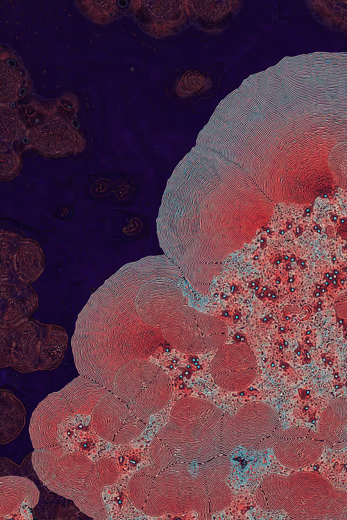 Item #2439046679443273982118864381573244666657869284 Media