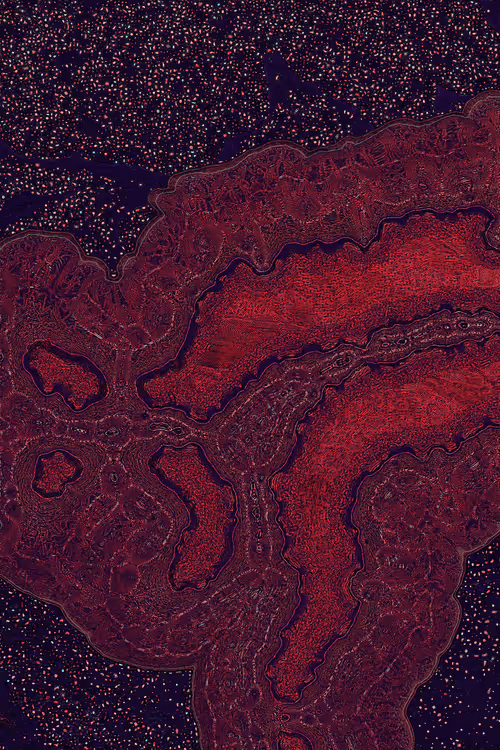 Item #2439046679443273982118864381573244666657869262 Media