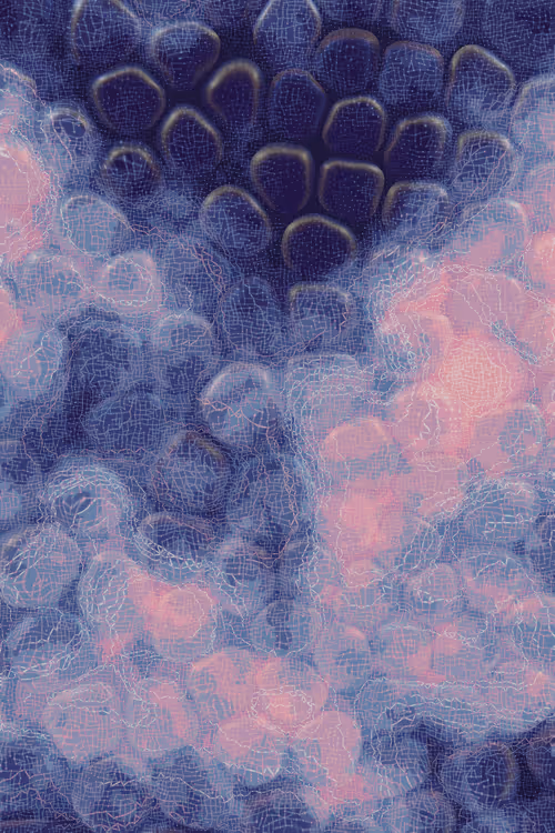 Item #2439046679443273982118864381573244666653869292 Media