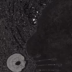 2439046679443273982118864381573244666657869219