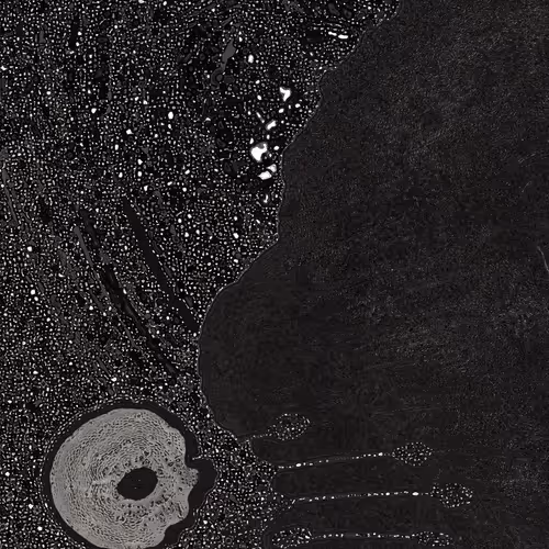 2439046679443273982118864381573244666657869219