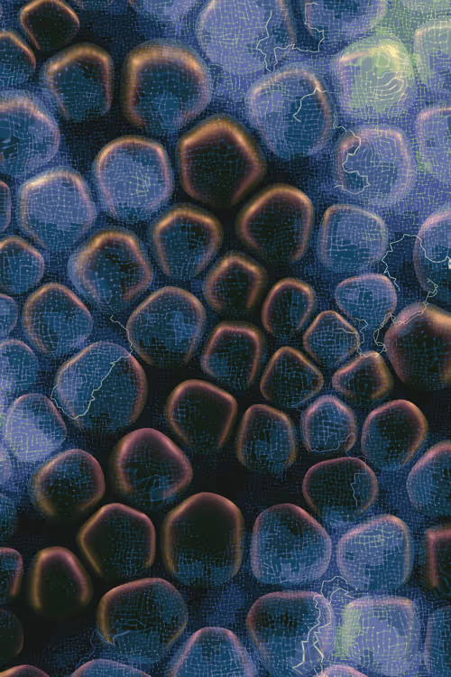 Item #2439046679443273982118864381573244666653869227 Media