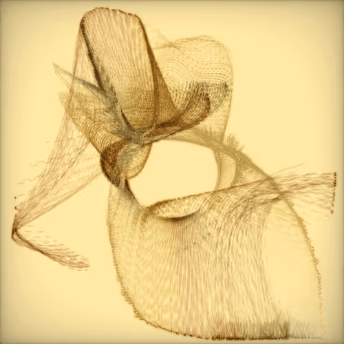 Item #2439046679443273982118864381573244666655869296 Media