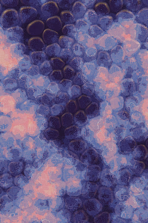 Item #2439046679443273982118864381573244666653869244 Media