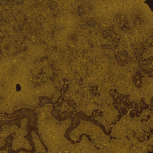 2439046679443273982118864381573244666657869288