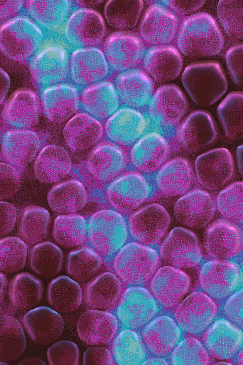 Item #2439046679443273982118864381573244666653869196 Media