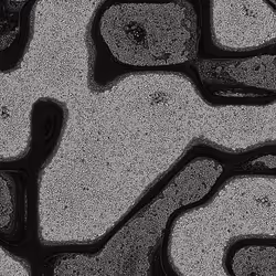 2439046679443273982118864381573244666657869292