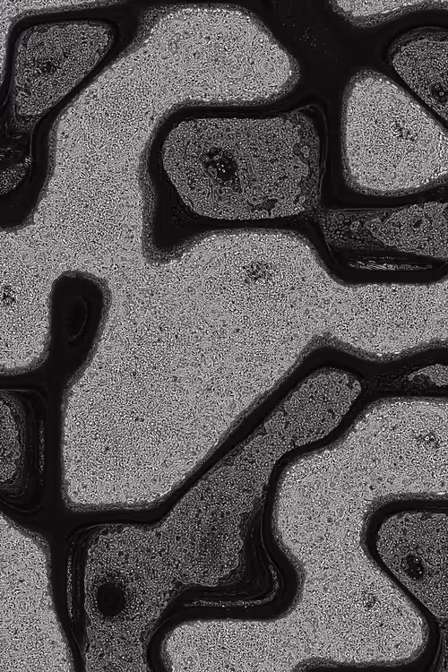 Item #2439046679443273982118864381573244666657869292 Media