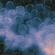 2439046679443273982118864381573244666653869215