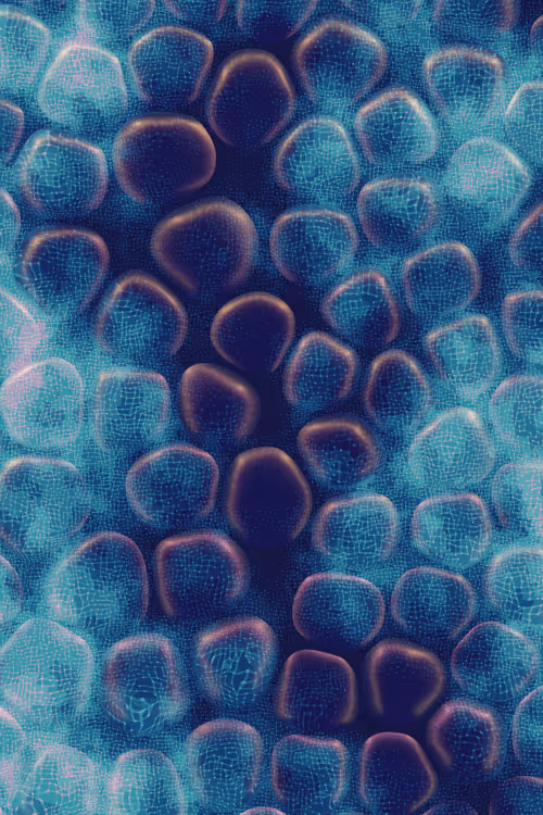 Item #2439046679443273982118864381573244666653869198 Media