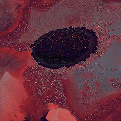 2439046679443273982118864381573244666657869247