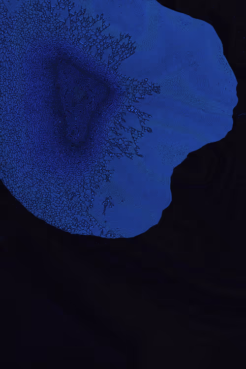 Item #2439046679443273982118864381573244666657869251 Media