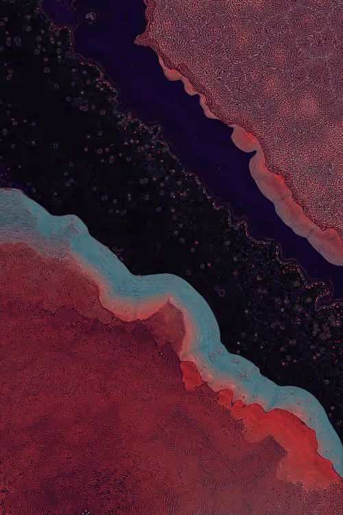 Item #2439046679443273982118864381573244666657869270 Media