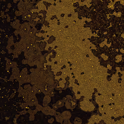 Dactylogram #119