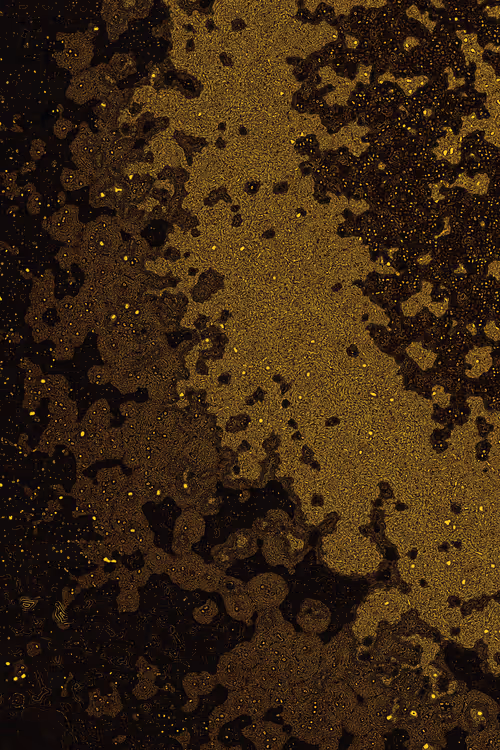 Item #2439046679443273982118864381573244666657869302 Media