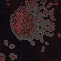 Dactylogram #112