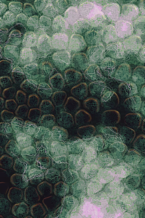 Item #2439046679443273982118864381573244666653869242 Media