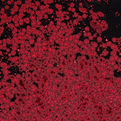 2439046679443273982118864381573244666657869200