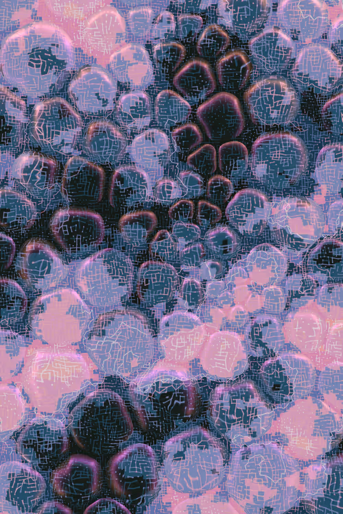 Item #2439046679443273982118864381573244666653869241 Media