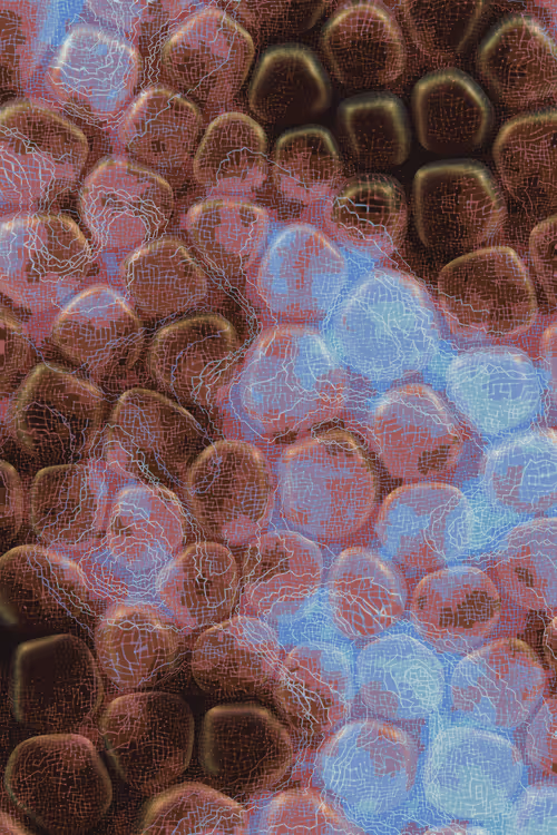 Item #2439046679443273982118864381573244666653869229 Media