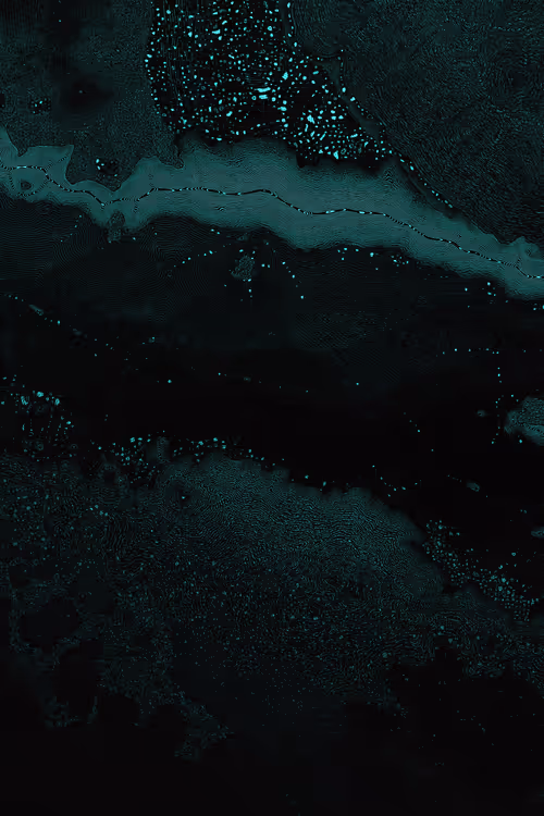 Item #2439046679443273982118864381573244666657869189 Media