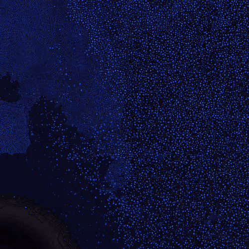 2439046679443273982118864381573244666657869208