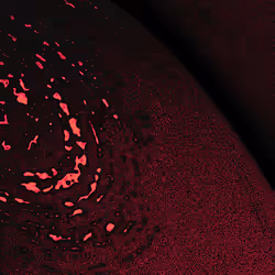 2439046679443273982118864381573244666657869188