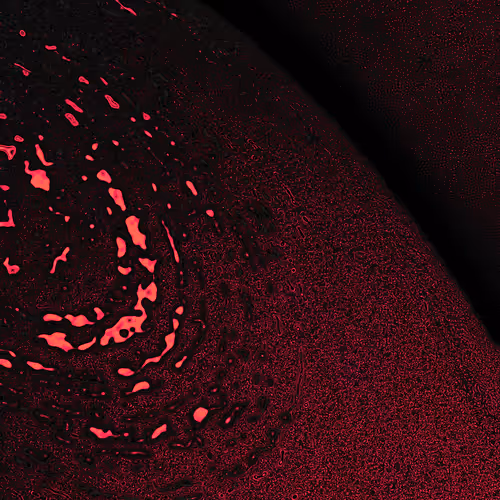 Dactylogram #5