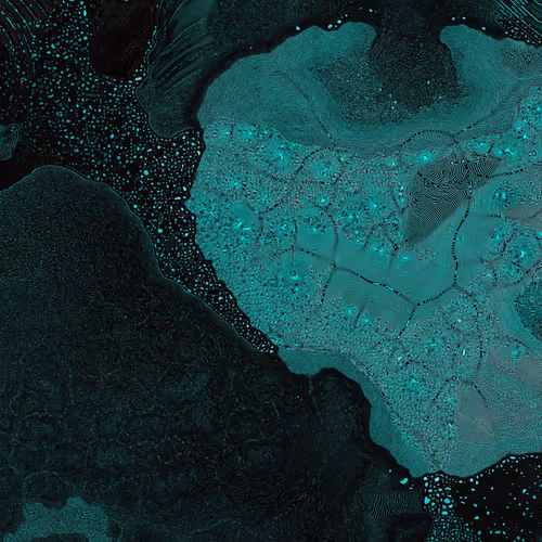 2439046679443273982118864381573244666657869193