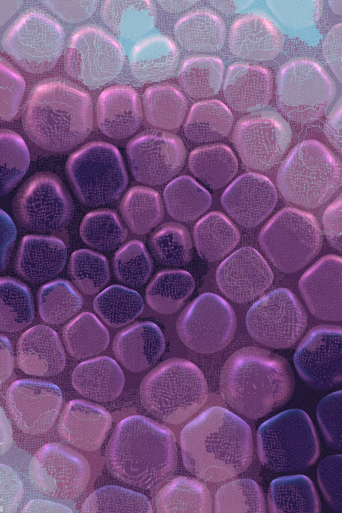 Item #2439046679443273982118864381573244666653869240 Media