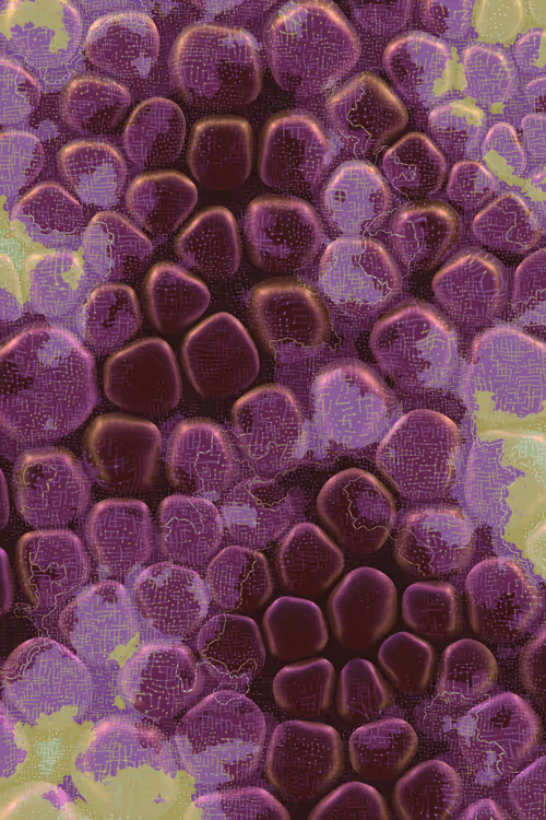 Item #2439046679443273982118864381573244666653869205 Media