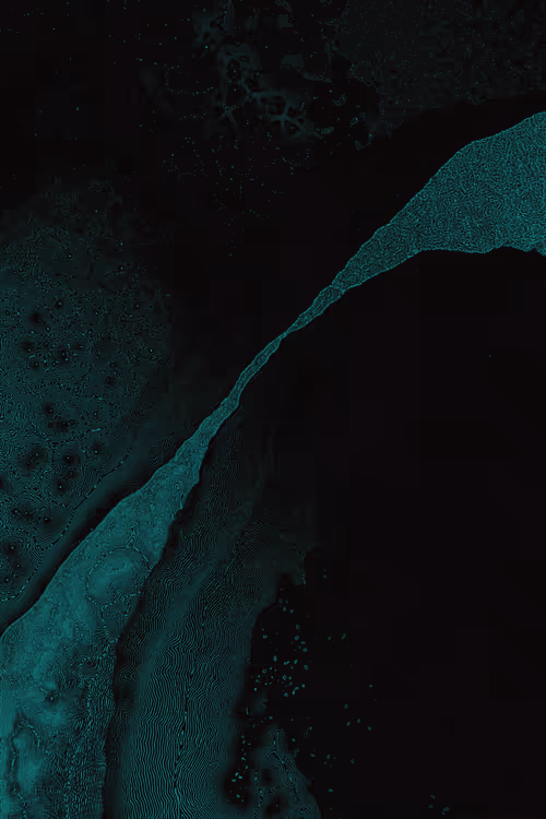 Item #2439046679443273982118864381573244666657869306 Media