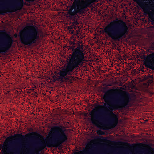 2439046679443273982118864381573244666657869220