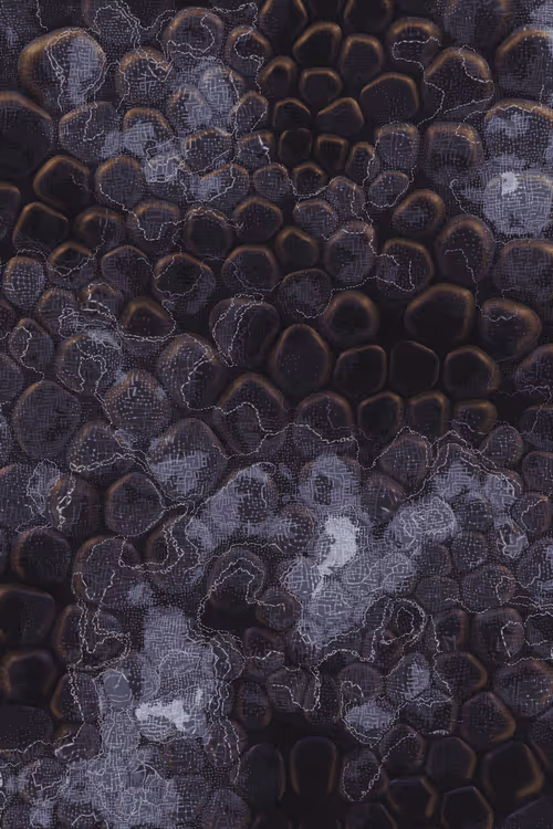 Item #2439046679443273982118864381573244666653869268 Media