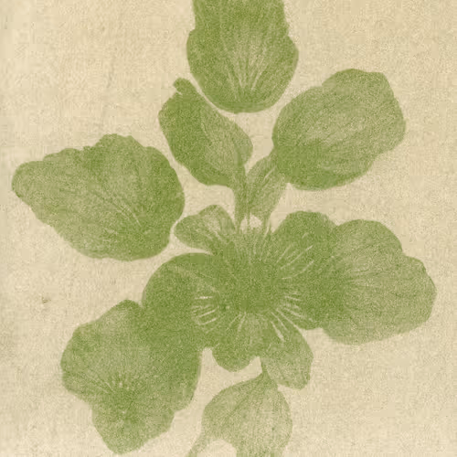 Pursuit of Permanence