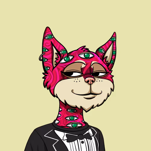 Boredcatyachtclub