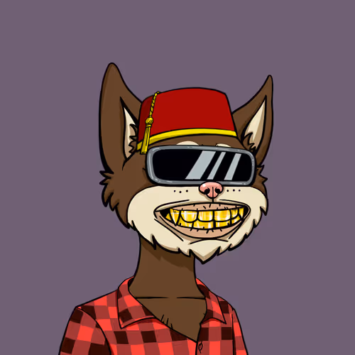 Boredcatyachtclub