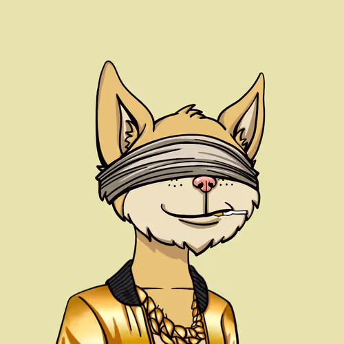 Boredcatyachtclub