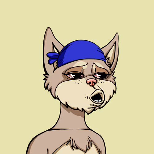 Boredcatyachtclub