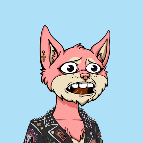 Boredcatyachtclub